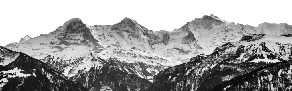 E-Commerce - Online Store - Vision - Partiir