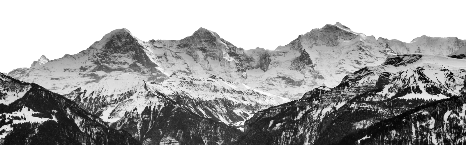 E-Commerce - Online Store - Vision - Partiir